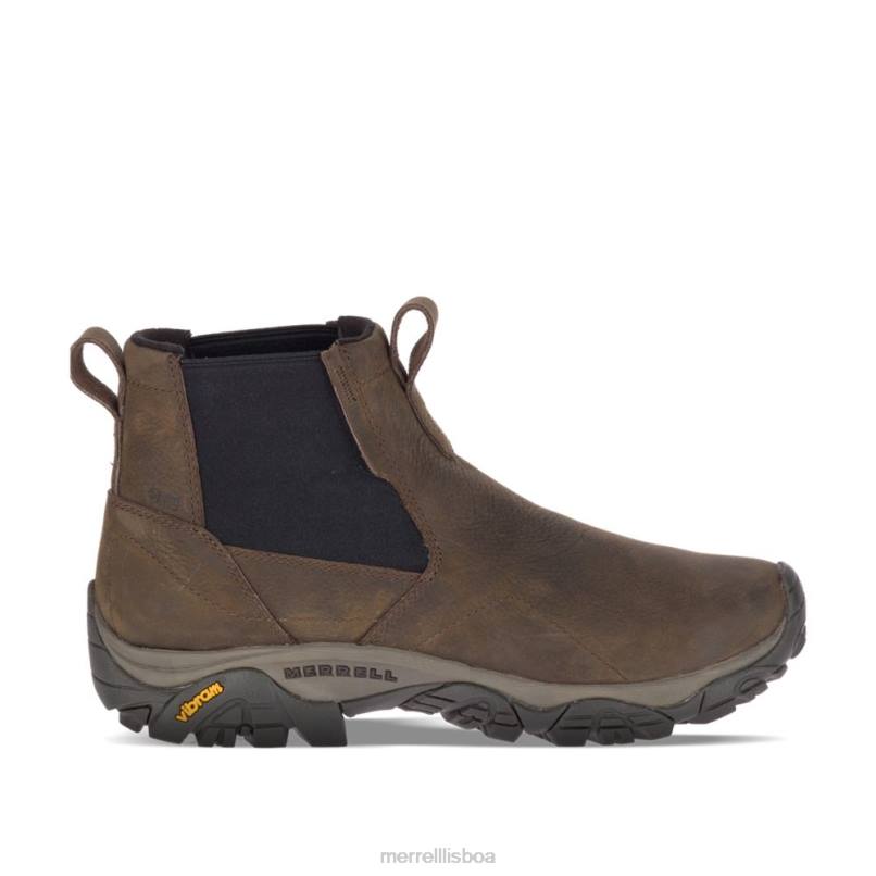 moab aventura chelsea polar à prova d'água (j88453) DD0T502 marrom Merrell