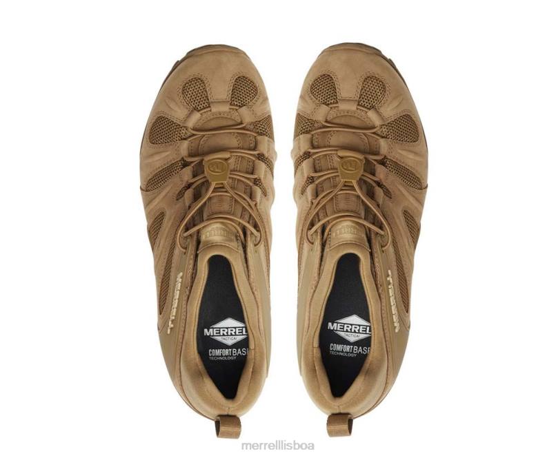 cham 8 stretch tático (j099407) DD0T480 coiote Merrell