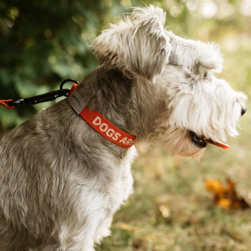 coleira de cachorro (jaf26691-629) DD0T267 poinciana Merrell