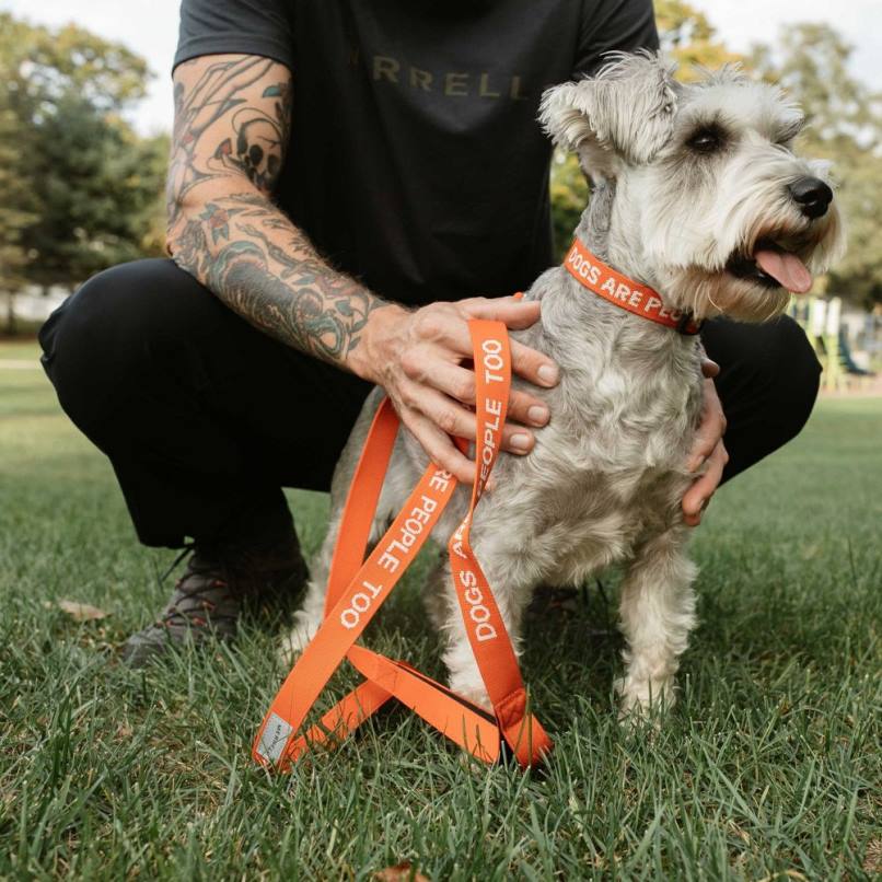 coleira para cachorro (jaf26689-629) DD0T462 poinciana Merrell