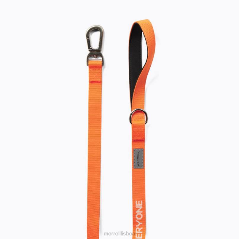 coleira para cachorro (jaf26689-751) DD0T463 exuberância Merrell